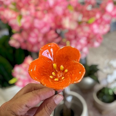 Flor&#x20;nova