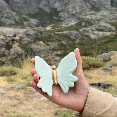 Borboleta nova