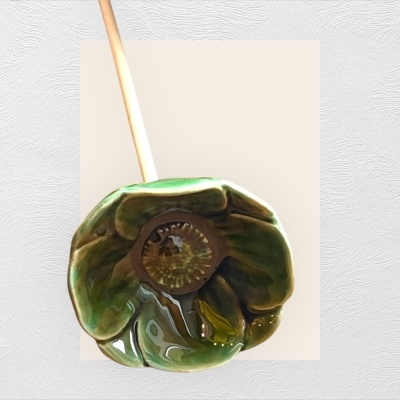 Papoila&#x20;especial