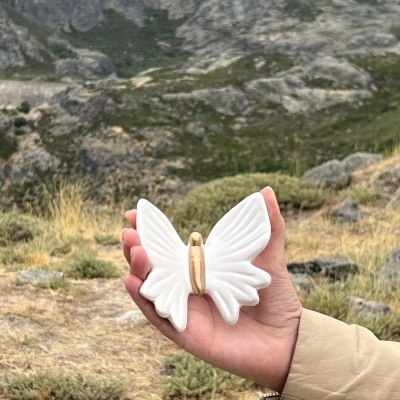 Borboleta&#x20;nova