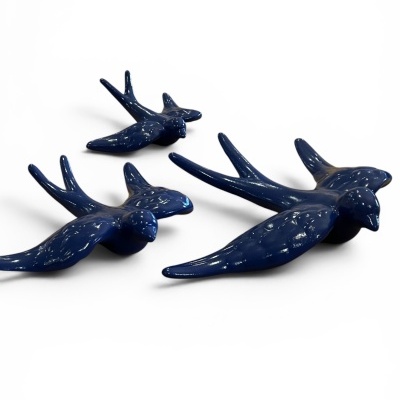 Conjunto exclusivo azul escuro