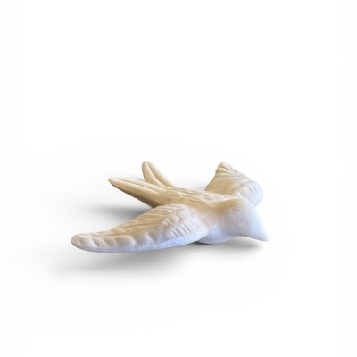 Andorinha pequena para pintar