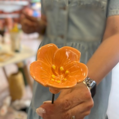 Flor&#x20;nova