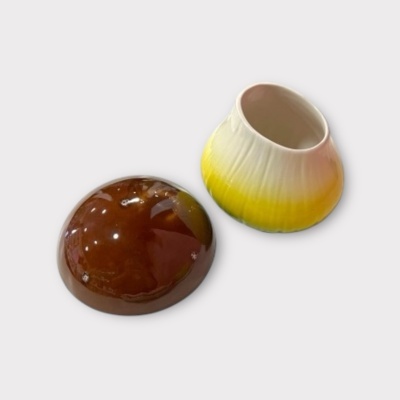 Cogumelo&#x20;-&#x20;caixa