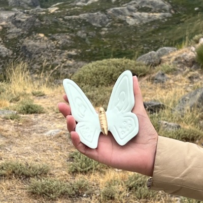 Borboleta nova