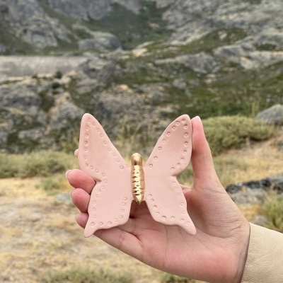 Borboleta nova