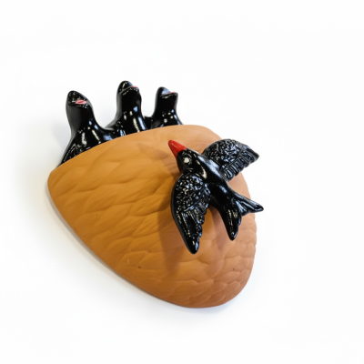 Ninhos de andorinhos