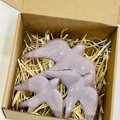 Box&#x20;3&#x20;Andorinhas