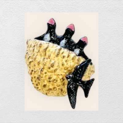 Ninhos de andorinhos