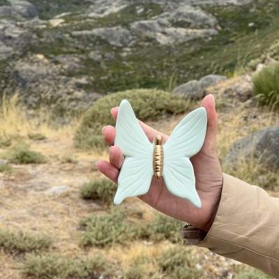 Borboleta&#x20;nova