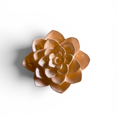 Flor&#x20;parede&#x20;pequena