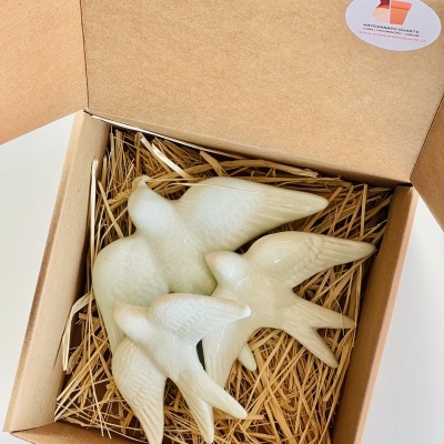 Box&#x20;3&#x20;Andorinhas