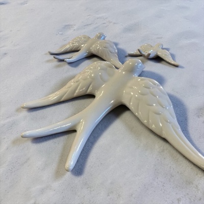 Andorinhas  Serra da Estrela