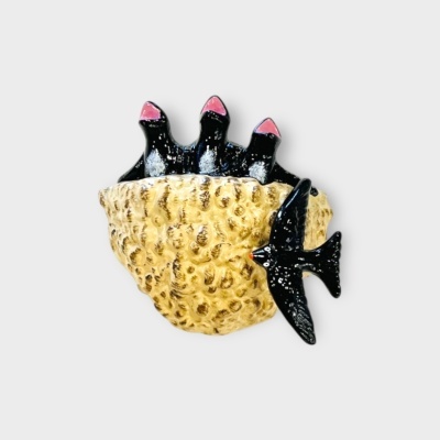 Ninhos de andorinhos