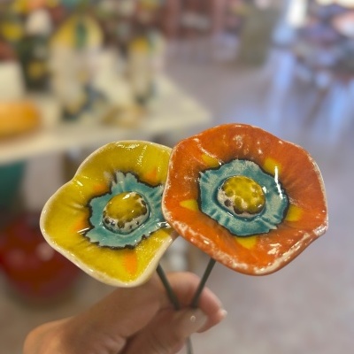 2 Florinha nova