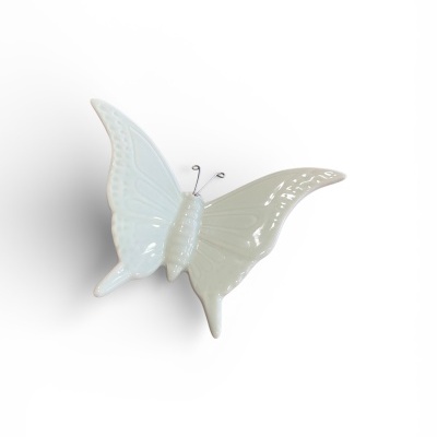 Borboleta&#x20;pequena