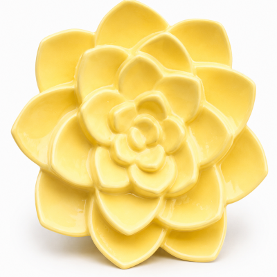 Flor&#x20;parede&#x20;pequena
