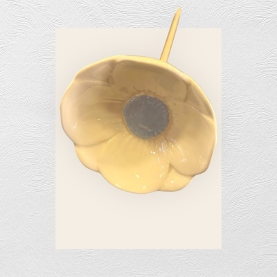 Papoila&#x20;especial