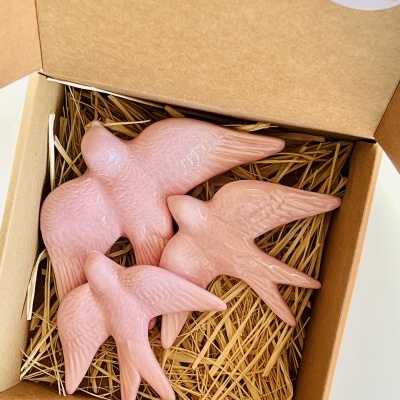 Box&#x20;3&#x20;Andorinhas