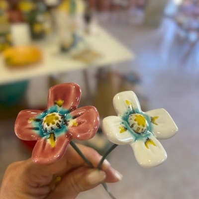 2 Florinha nova