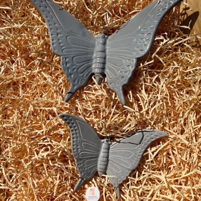 Pack&#x20;2&#x20;Borboletas