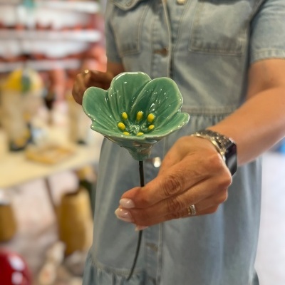 Flor&#x20;nova