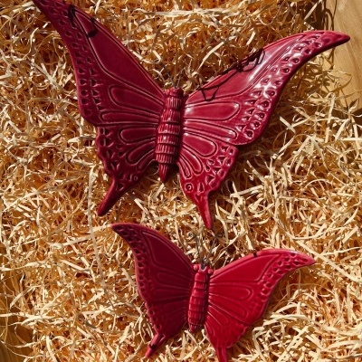 Pack&#x20;2&#x20;Borboletas