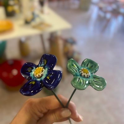2 Florinha nova