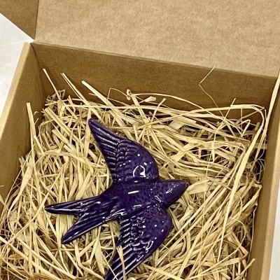 Box&#x20;1&#x20;Andorinha&#x20;m&#x00E9;dia