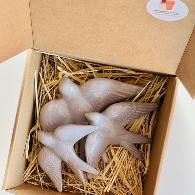 Box&#x20;3&#x20;Andorinhas