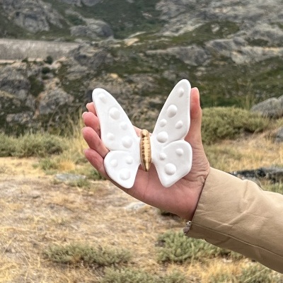 Borboleta&#x20;nova