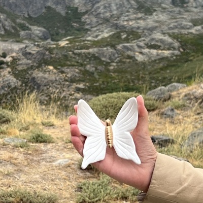 Borboleta nova