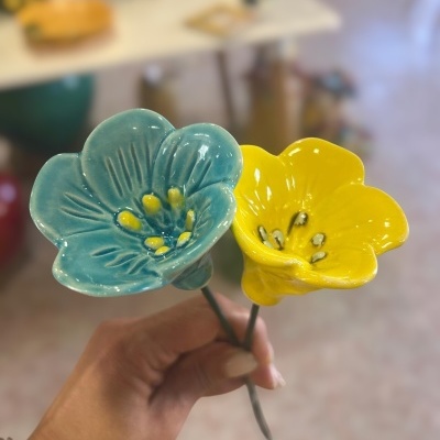 2 Flor nova