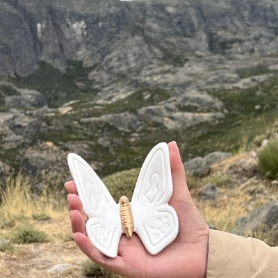 Borboleta&#x20;nova