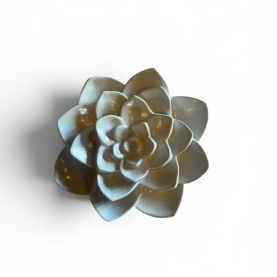 Flor&#x20;parede&#x20;pequena