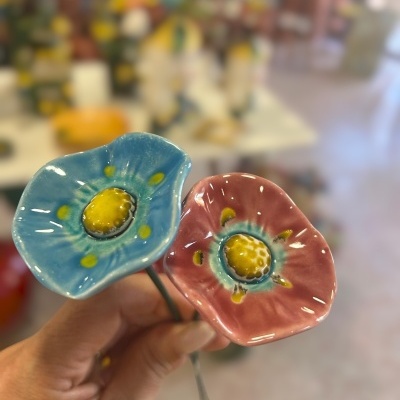 2 Florinha nova