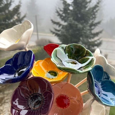 Papoila&#x20;especial