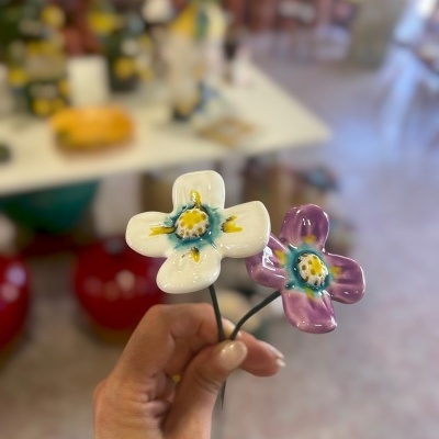 2 Florinha nova