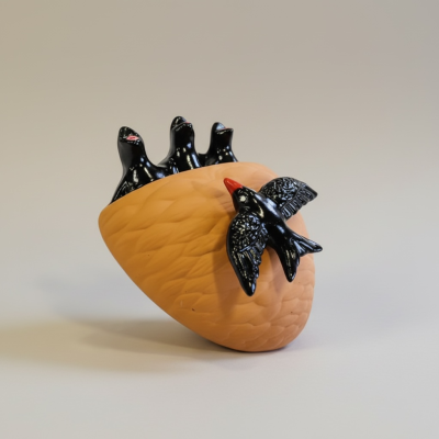 Ninhos de andorinhos