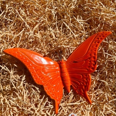 Borboleta&#x20;Grande