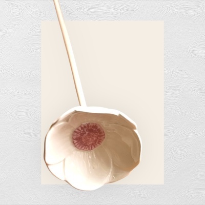 Papoila&#x20;especial