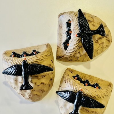 Ninho&#x20;de&#x20;Andorinhas