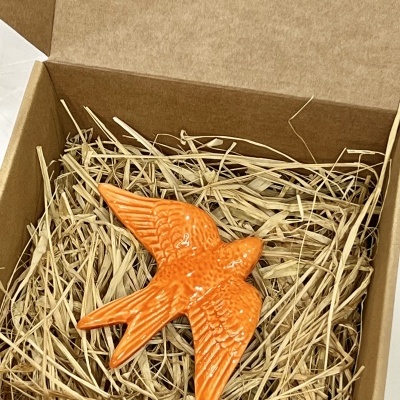 Box&#x20;1&#x20;Andorinha&#x20;m&#x00E9;dia