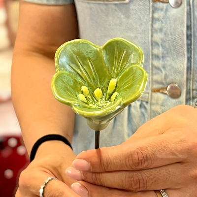 Flor&#x20;nova