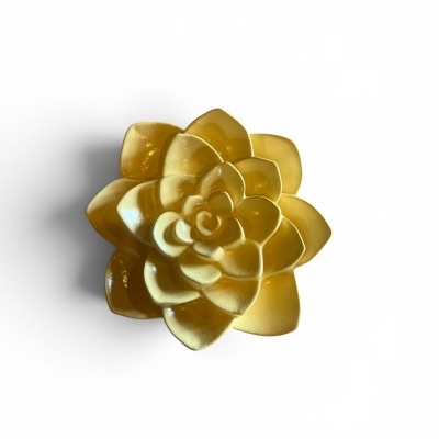 Flor parede pequena