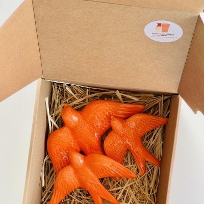 Box&#x20;3&#x20;Andorinhas