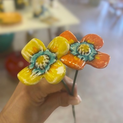 2 Florinha nova