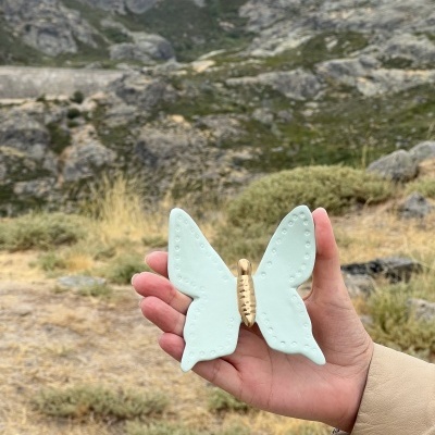 Borboleta&#x20;nova