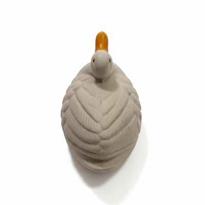 Pato&#x20;bico&#x20;laranja