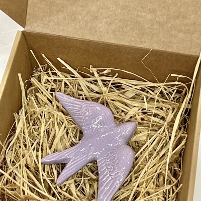 Box&#x20;1&#x20;Andorinha&#x20;m&#x00E9;dia